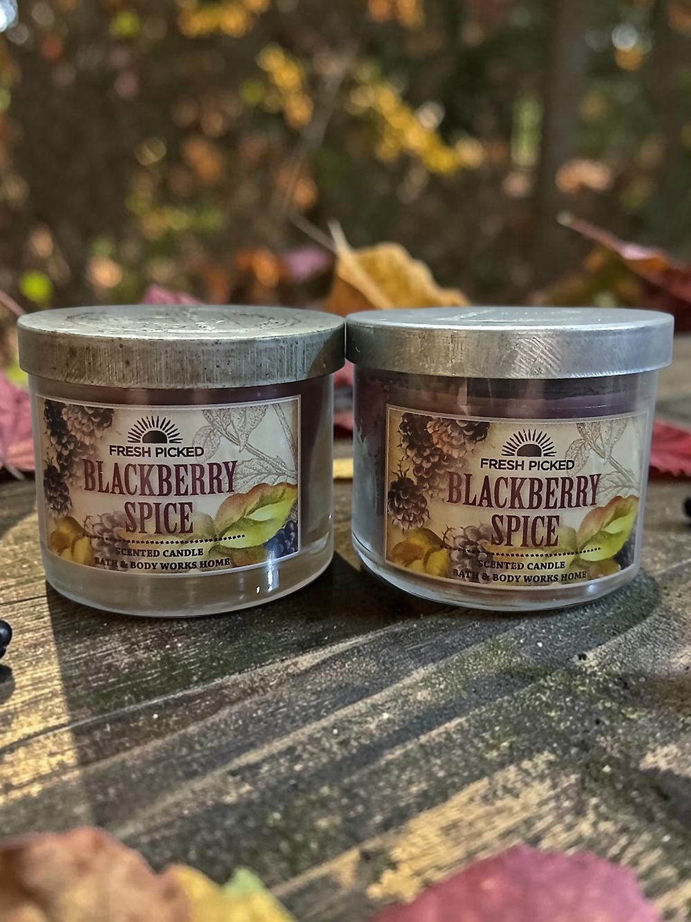 Bath & Body Works Fresh Picked Blackberry Spice Candle Duo - Purple & Silver